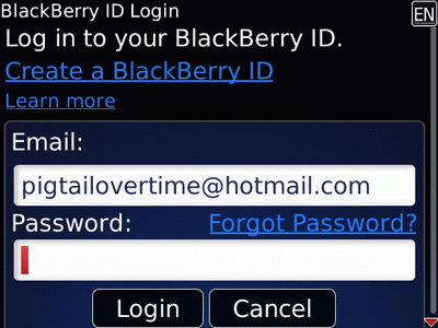 [RIM] BlackBerry ID、付費軟體介紹