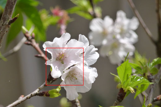 [Panasonic] 內建GPS 16x-zoom Panasonic ZS10評測