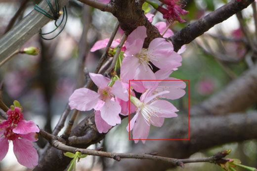 [Panasonic] 內建GPS 16x-zoom Panasonic ZS10評測